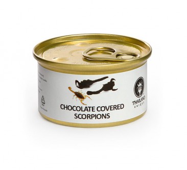 Chocolate-Covered Edible Bugs Gift Pack