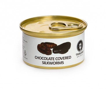 Chocolate-Covered Edible Bugs Gift Pack